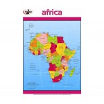 Statesman Poster Africa